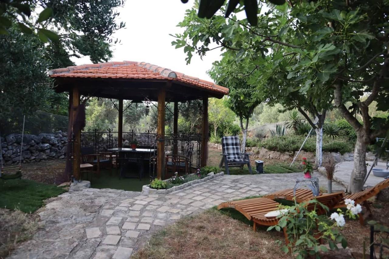 Apartments Branimir Задар Екстериор снимка